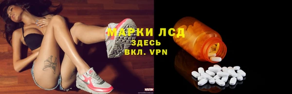 дмт Алзамай
