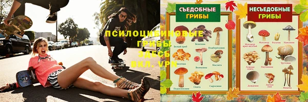 дмт Алзамай