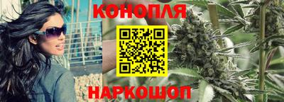 твердый Гай