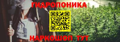 твердый Гай