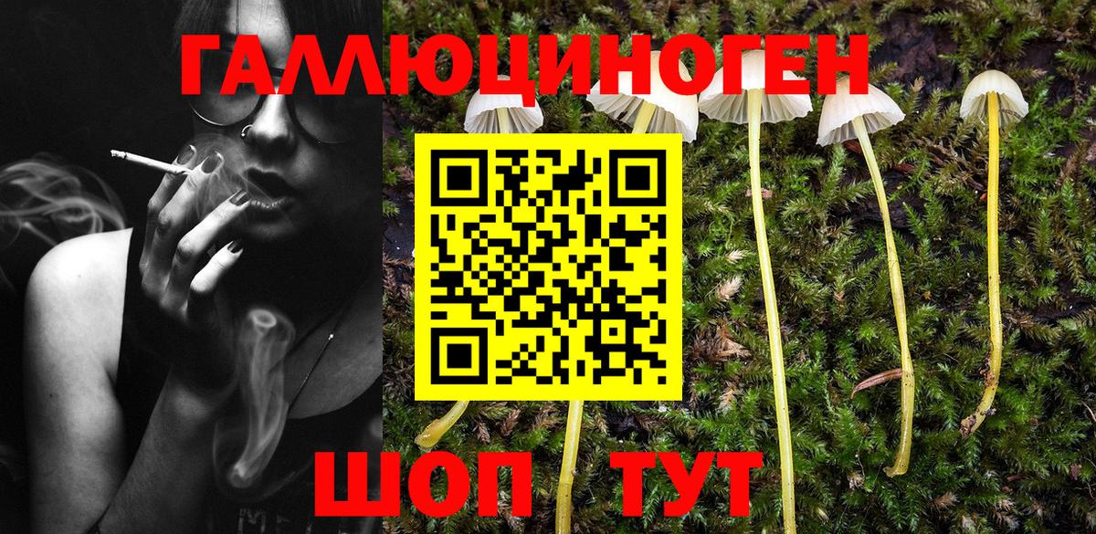 Псилоцибиновые грибы прущие грибы Сосновый Бор