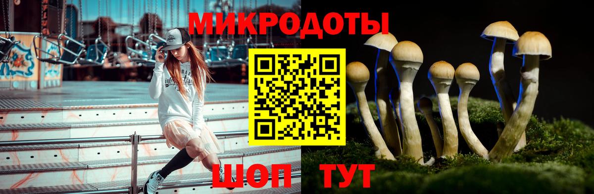Галлюциногенные грибы MAGIC MUSHROOMS  Вход с VPN  Галлюциногенные грибы мухоморы  Сосновый Бор 