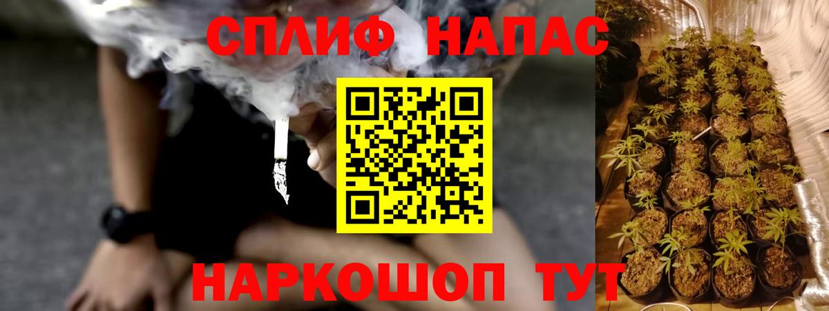 Конопля индика  Вход с VPN  Конопля тримм  Бошки марихуана OG Kush  Сосновый Бор  Канабис план 